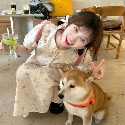龙腾虎跃